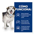 Hill's Prescription Diet Urinary + Metabolic c/d pienso para perros, , large image number null